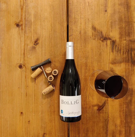 Weingut Bollig Spätburgunder 2019 (Pinot Noir)